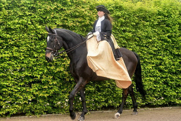 Kurfuerst   119.jpg